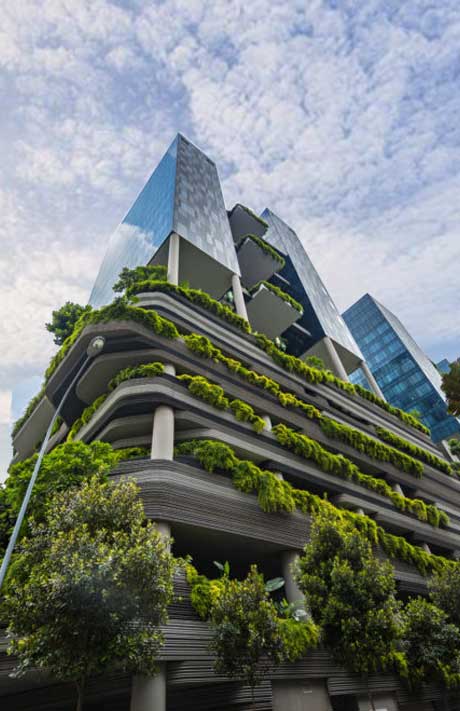 What should you know about Irwell Hill Residences 10 Parkroyal on Pickering Design by ADDP Project Architect of Irwell Hill Residences