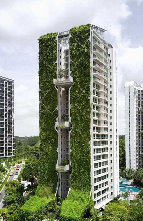 What should you know about Irwell Hill Residences 3 Tree House by CDL